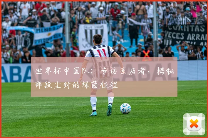 世界杯中国队：专访亲历者，揭秘那段尘封的绿茵征程