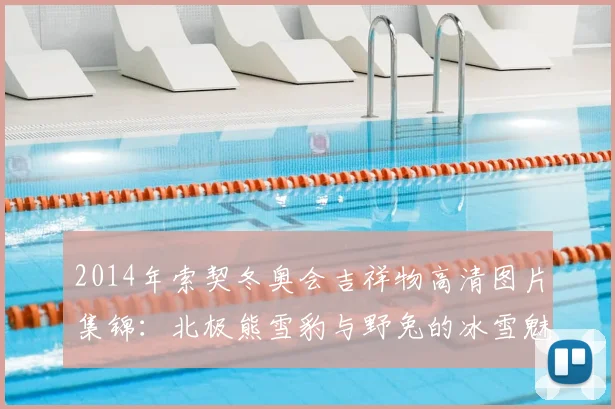 2014年索契冬奥会吉祥物高清图片集锦:北极熊雪豹与野兔的冰雪魅力