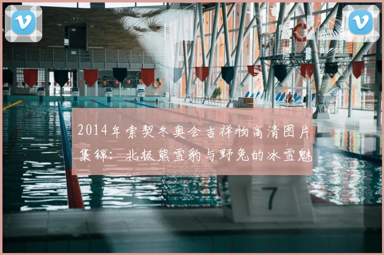 2014年索契冬奥会吉祥物高清图片集锦：北极熊雪豹与野兔的冰雪魅力