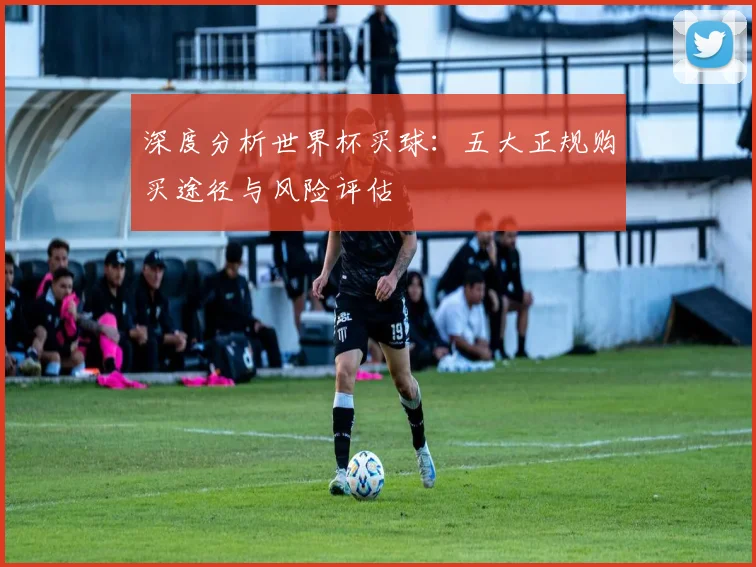 深度分析世界杯买球：五大正规购买途径与风险评估