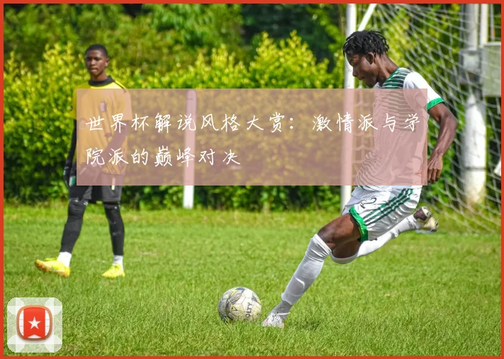 世界杯解说风格大赏：激情派与学院派的巅峰对决