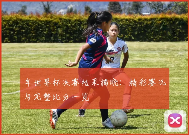 年世界杯决赛结果揭晓：精彩赛况与完整比分一览