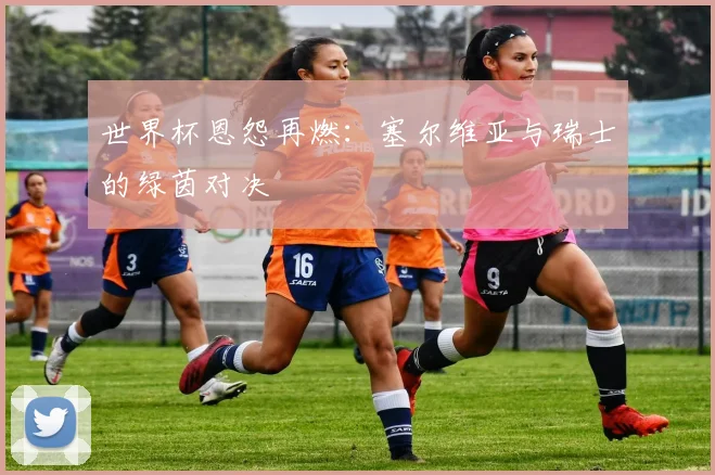 世界杯恩怨再燃：塞尔维亚与瑞士的绿茵对决