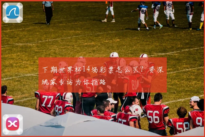 下期世界杯14场彩票怎么买？资深玩家专访为你指路