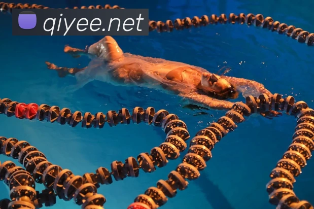 世界杯足球网服务体系